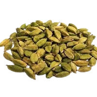Green Elachi Special